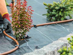 Irrigation Repair & Installs