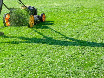 Lawn Care Plans