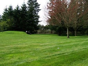 Lawn Rehabilitation Services